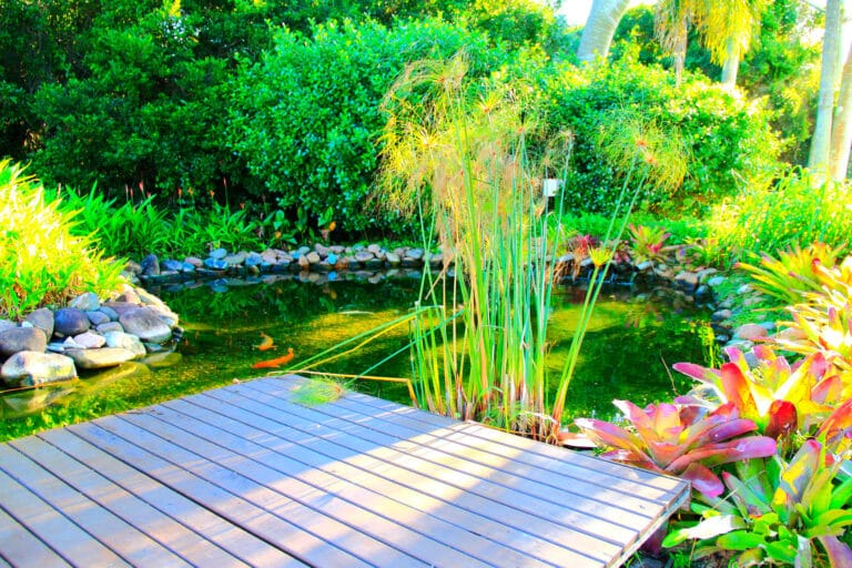 Einen Gartenteich anlegen. 7 Super einfache Tipps und Tricks 1