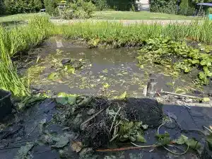 Teichpflege und ihre Lösungen