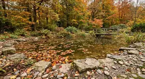 Gartenteich im Herbst mit Laubbelag und Schlammsediment auf dem Boden