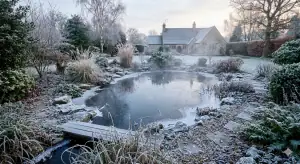 Ein verschneiter Gartenteich im Februar mit Eis am Rand, im Hintergrund ein Haus mit Garten, kalter Morgennebel über dem Wasser